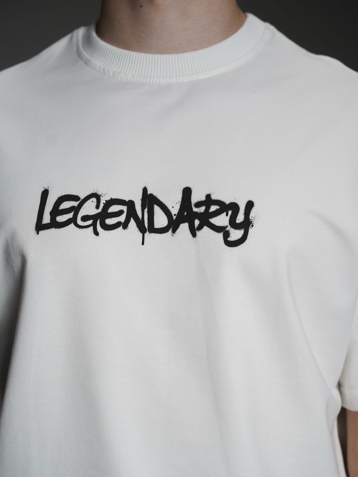 Футболка класик принт "Legendary" біла, S-M F1558 фото